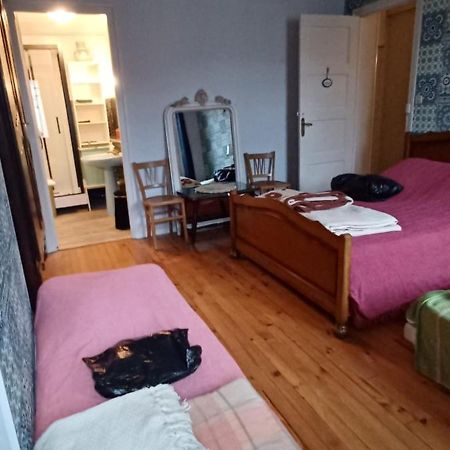 Chez Virginie - Chambre Du Bourg Lourdes Luaran gambar